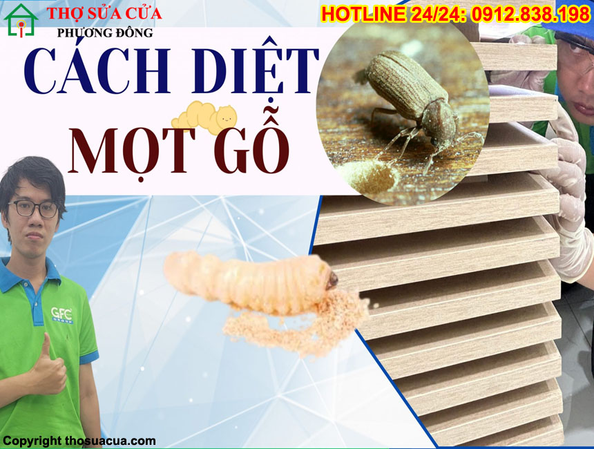 Cách diệt mọt gỗ