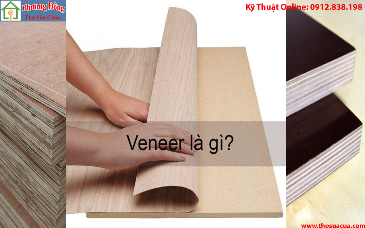 Veneer là gì, cửa gỗ veneer là gì