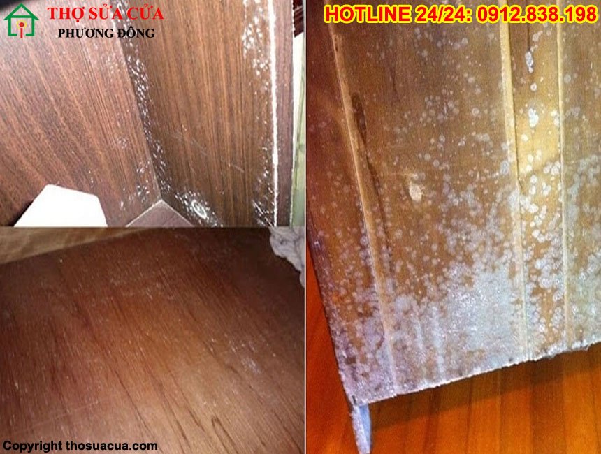 Cách xử lí gỗ bị mốc