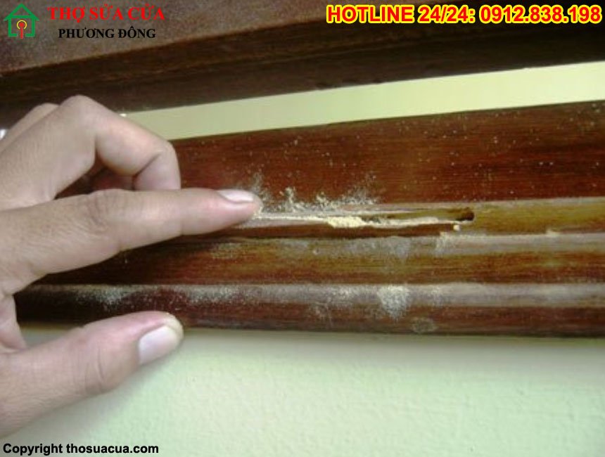 Sửa cửa gỗ bị mọt