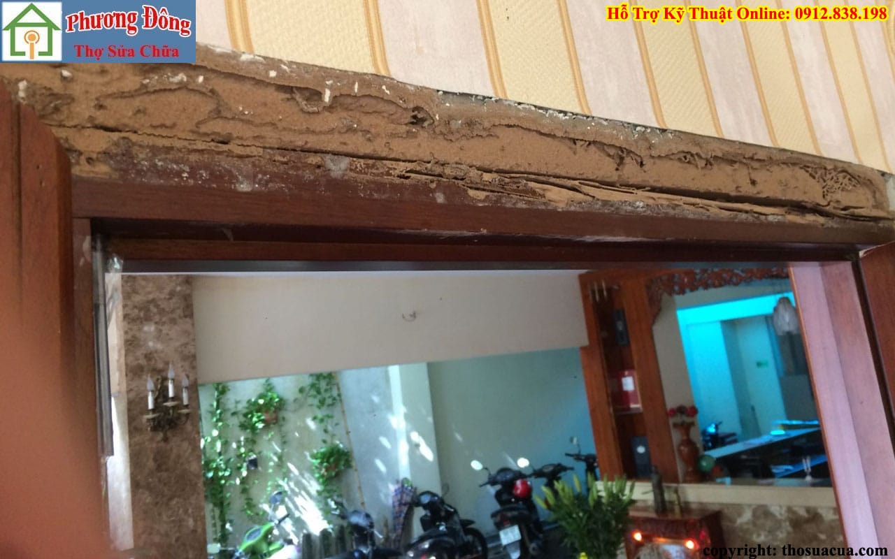 Cửa gỗ bị mối mọt