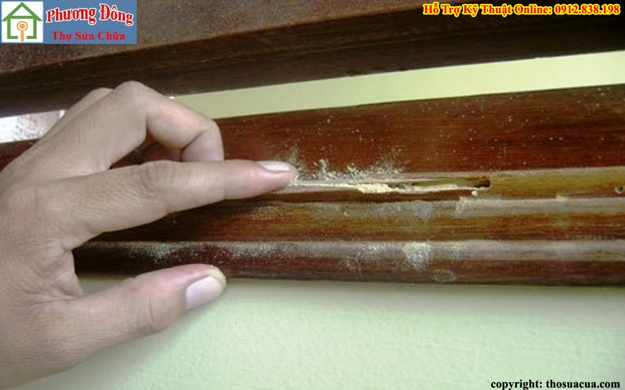 Cửa gỗ bị mối mọt