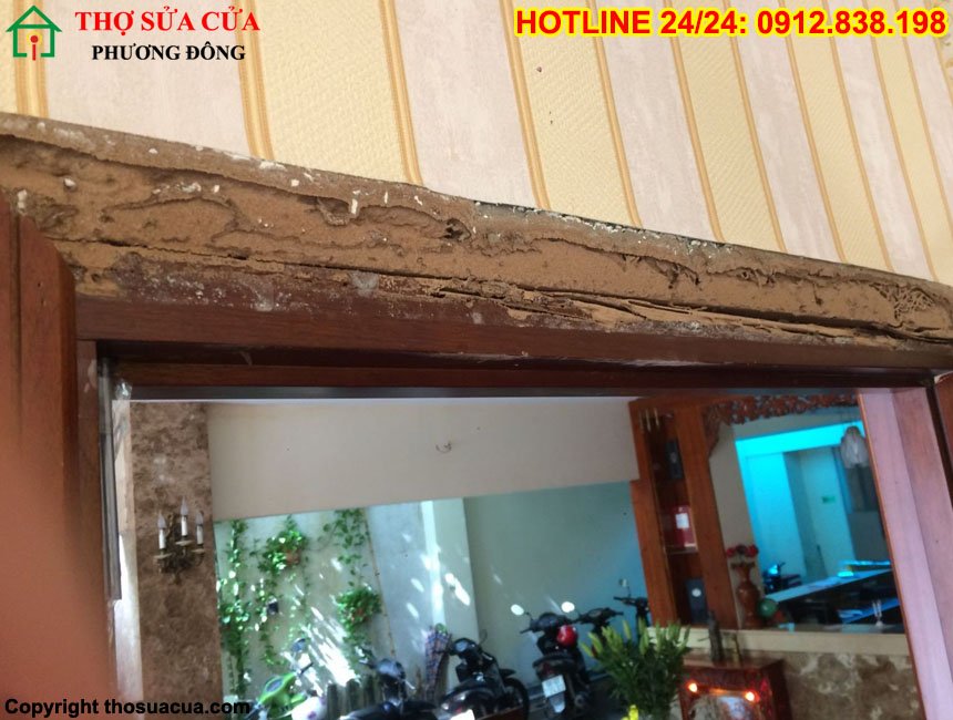 Cửa gỗ bị mối mọt