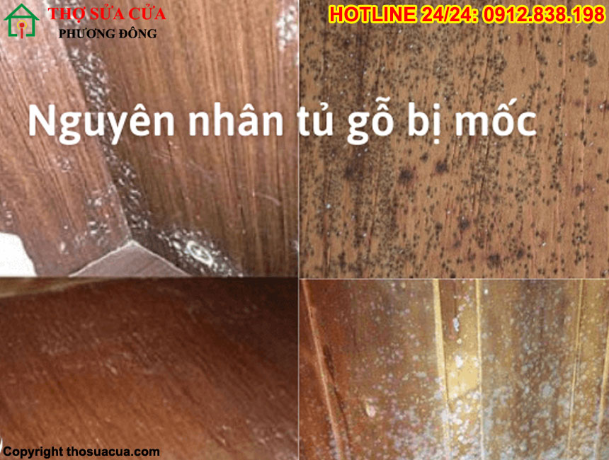 Cách xử lý tủ gỗ bị ẩm mốc