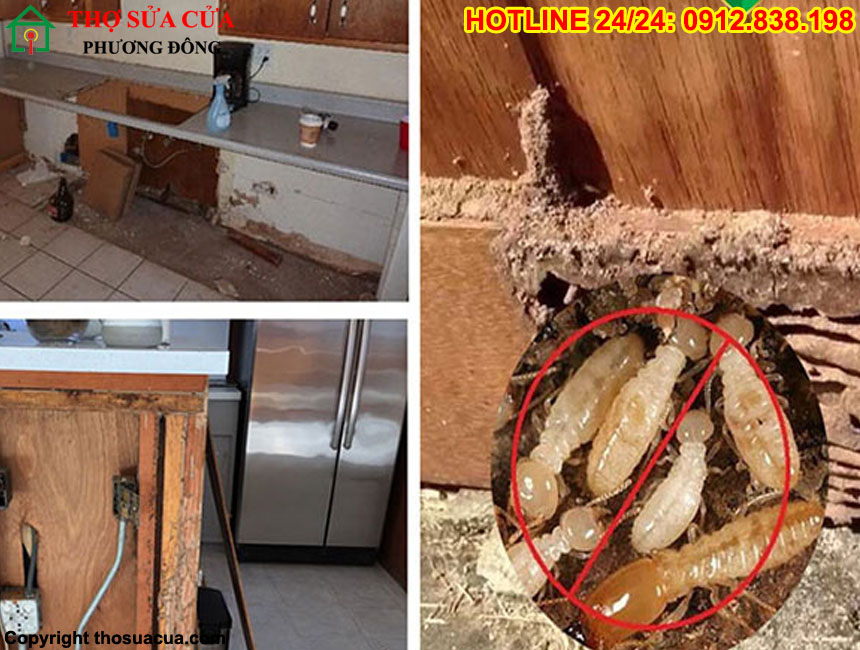 Diệt mối đất hại đồ gỗ