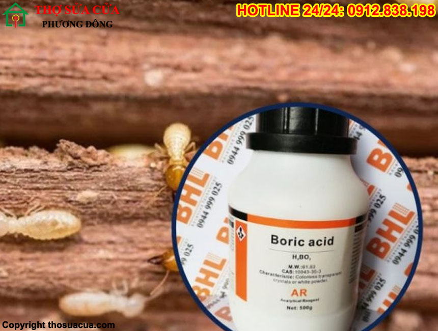 Thuốc trị mọt gỗ tận gốc